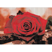 Diamond Painting Haft Diamentowy Mozaika Zestaw 5D Płótno Rama 20X30 (10)