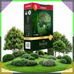 Premium Trawa Nasiona Mieszanka SHADE 1kg 40m Zaciemnione Miejsca do Cienia (6)