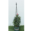 12x Podpora Pergola Ogrodowa Tarasowa na KWiaty Stojak Metalowy Roślin 150 cm (5)