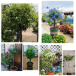 Pergola Ogrodowa Tarasowa Metalowa Podpora do Pnączy Róż Kwiatów 50x10cm biała (8)