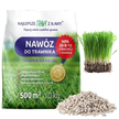 Nawóz do Trawnika Trawy Wieloskładnikowy NPK 20-8-10 Granulat 10 kg 500 m  (1)