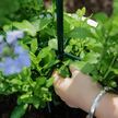 Pergola Ogrodowa Tarasowa Metalowa Podpora do Pnączy Róż Kwiatów 50x10cm zielona (13)