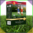 Premium Trawa sportowa sportowa boiskowa WEMBLEY 1kg 40m trawnik sportowy (7)
