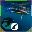 Uniwersalna Płetwa Sportowa Statecznik Fin do Desek SUP Deski Surfingowej (11)