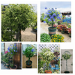 Pergola Ogrodowa Tarasowa Metalowa Podpora do Pnączy Róż Kwiatów 50x10cm zielona (8)