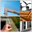 20 x Metalowe Stalowe Kolce na Ptaki Gołębie Wróble na Parapet Gzyms 50 cm (7)
