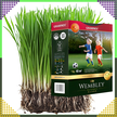 Premium Trawa sportowa sportowa boiskowa WEMBLEY 1kg 40m trawnik sportowy (9)