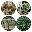 Pergola Ogrodowa Tarasowa Metalowa Podpora do Pnączy Róż Kwiatów 50x10cm Czarna (6)