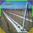 AGROWŁÓKNINA 70G 1,6x100m BIAŁA UV AGROTKANINA MATA ANTYCHWASTOWA  (9)