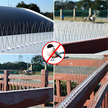 20 x Metalowe Stalowe Kolce na Ptaki Gołębie Wróble na Parapet Gzyms 50 cm (6)