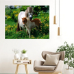 MALOWANIE PO NUMERACH OBRAZ Z RAMĄ  DIY ZESTAW PĘDZLE FARBY PŁÓTNO 40x50 (12)
