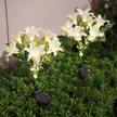 Lampa Solarna Ogrodowa Wbijna Kwiat Lilii Lilia Ozdoba Kwiaty Solarne Led (11)