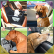 Transporter dla Psa Kota Fotelik Samochodowy Mata na Siedzenie do Auta (7)