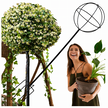 Pergola Ogrodowa Tarasowa Metalowa Podpora do Pnączy Róż Kwiatów 50x10cm Czarna