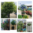Pergola Ogrodowa Tarasowa Metalowa Podpora do Pnączy Róż Kwiatów 50x10cm Czarna (8)