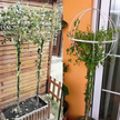 Pergola Ogrodowa Tarasowa Metalowa Podpora do Pnączy Róż Kwiatów 50x10cm biała (13)
