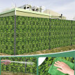 4 x Taśma Ogrodzeniowa 19cm x 35m Osłona Panelowa na Ogrodzenie Płot UV Liście (7)