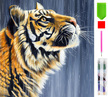 Diamond Painting Haft Diamentowy Mozaika Zestaw 5D 26