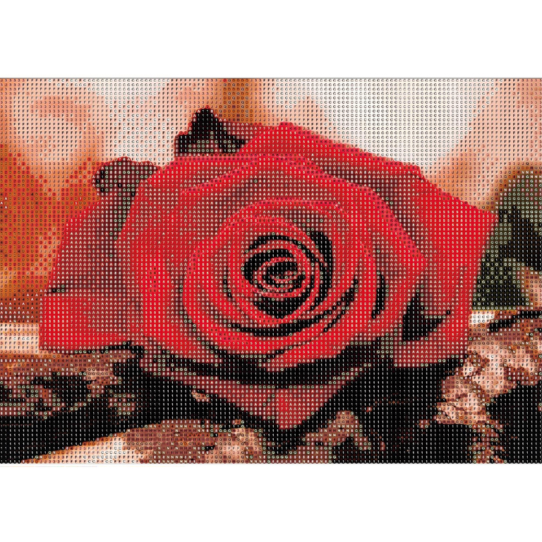 Diamond Painting Haft Diamentowy Mozaika Zestaw 5D Płótno Rama 20X30 (10)