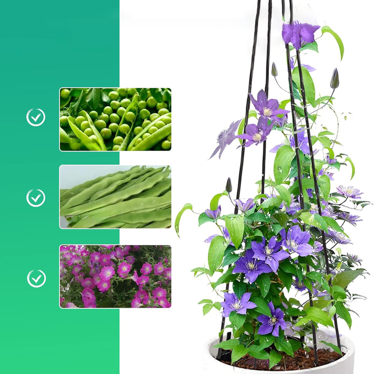 12x Podpora Pergola Ogrodowa Tarasowa na KWiaty Stojak Metalowy Roślin 150 cm (6)