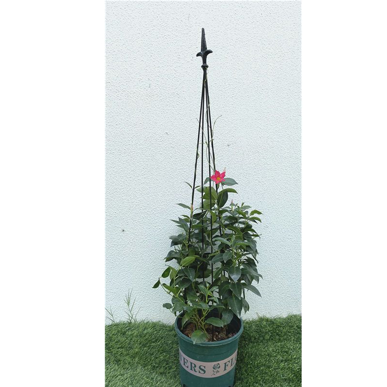 12x Podpora Pergola Ogrodowa Tarasowa na KWiaty Stojak Metalowy Roślin 150 cm (5)