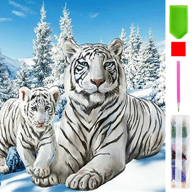 Diamond Painting Haft Diamentowy Mozaika Zestaw 5D 3 (1)