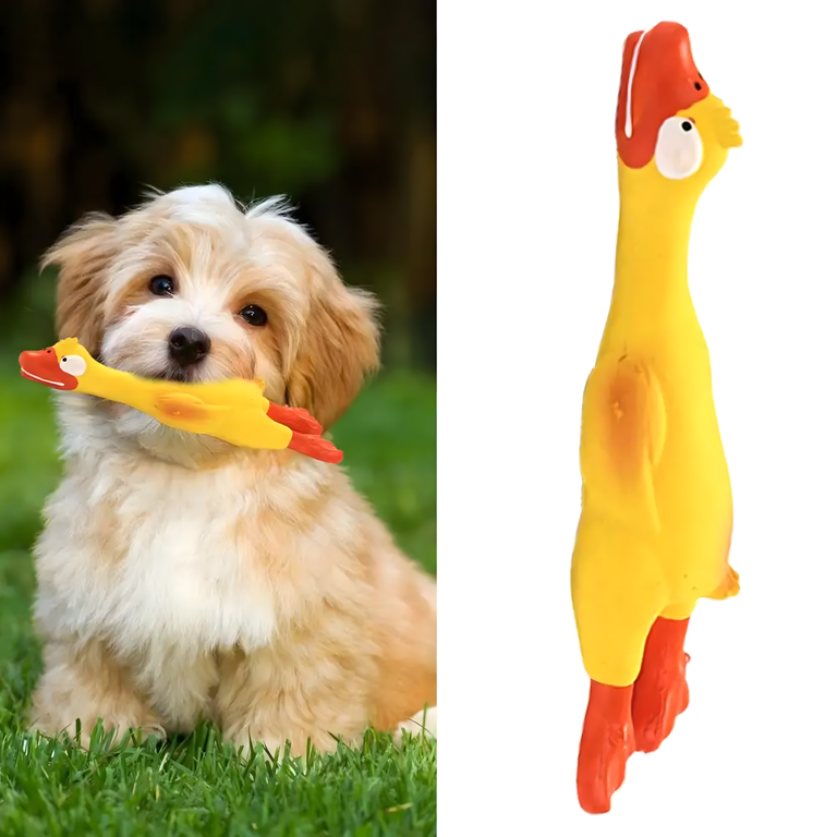 Piszcząca Duża Zabawka Gumowy Kurczak Duży dla Psa Szczeniaka Gryzak 22 cm (10)