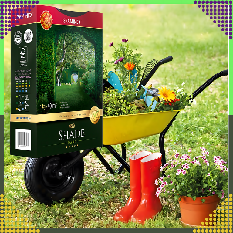 Premium Trawa Nasiona Mieszanka SHADE 1kg 40m Zaciemnione Miejsca do Cienia (5)