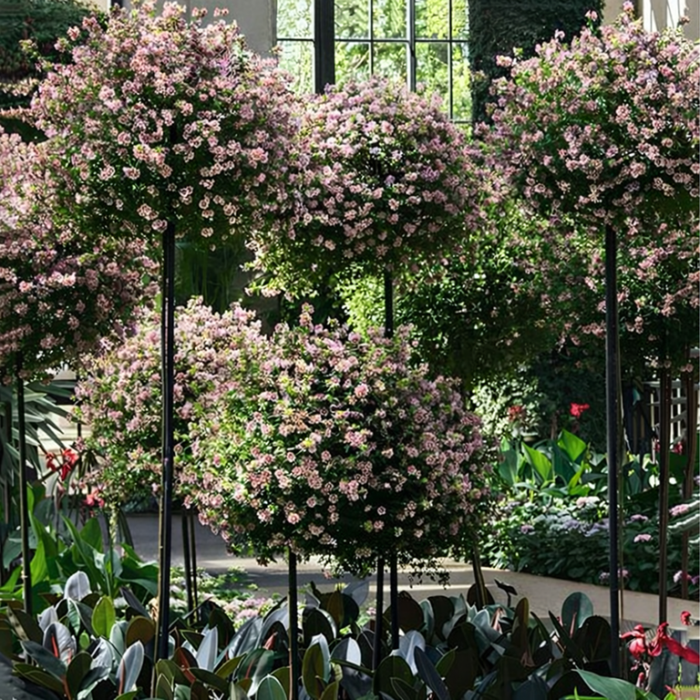 Pergola Ogrodowa Tarasowa Metalowa Podpora do Pnączy Róż Kwiatów 50x10cm Czarna (14)