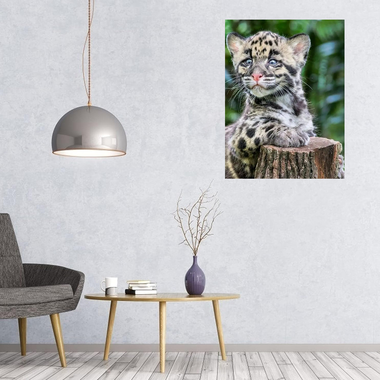 MALOWANIE PO NUMERACH OBRAZ Z RAMĄ  DIY ZESTAW PĘDZLE FARBY PŁÓTNO 40x50 (12)