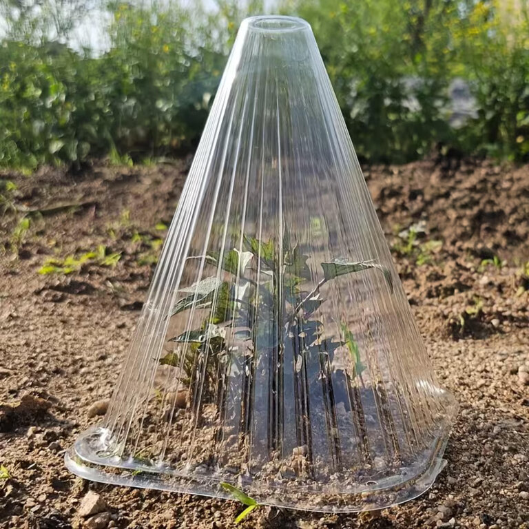 Klosz Osłona 22cm do Roślin Sadzonek Szklarnia Klosze Zabezpieczające 10szt (8)