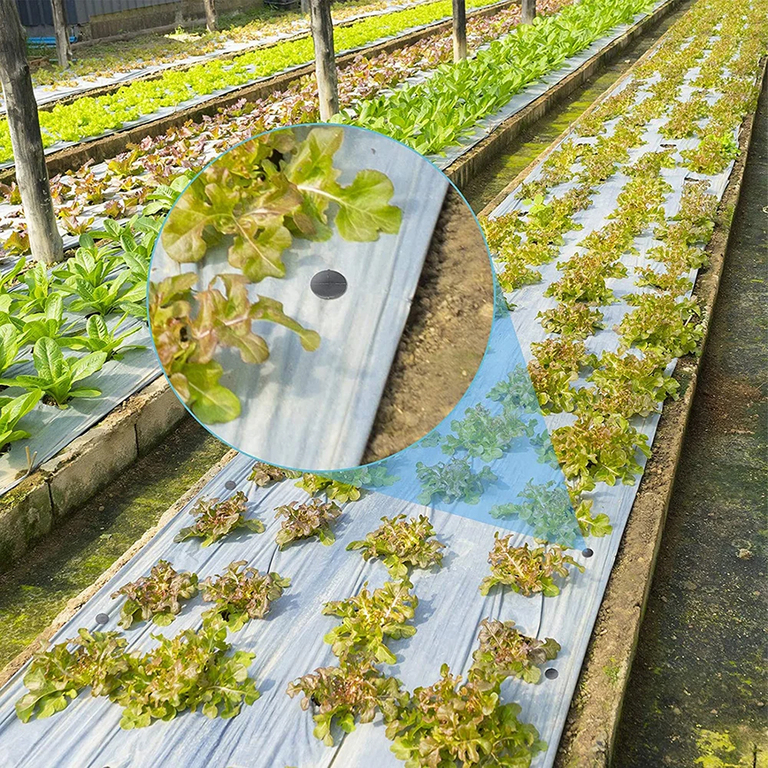 840kmpl x Szpilki Kotwy Kołki do Agrowłókniny Agrotkaniny Mocne 50 szt 15cm (14)