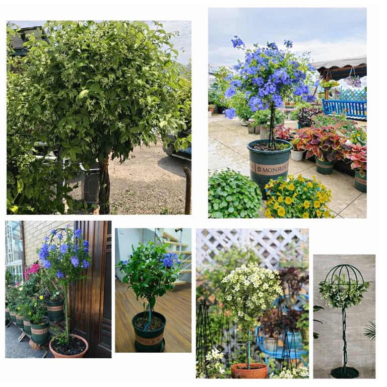 Pergola Ogrodowa Tarasowa Metalowa Podpora do Pnączy Róż Kwiatów 50x10cm zielona (8)