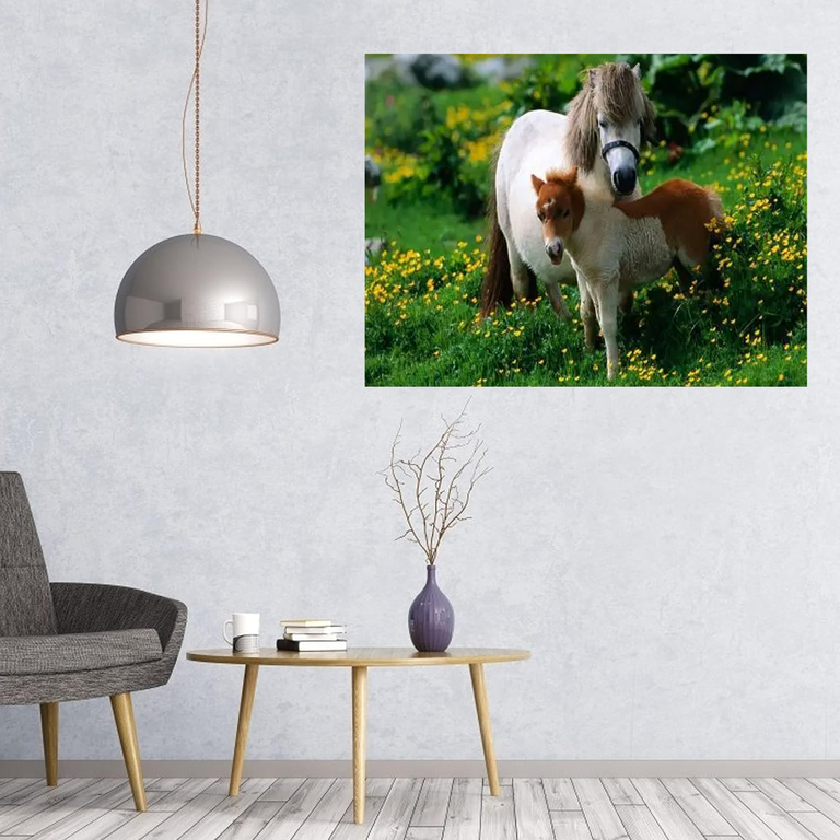 MALOWANIE PO NUMERACH OBRAZ Z RAMĄ  DIY ZESTAW PĘDZLE FARBY PŁÓTNO 40x50 (7)