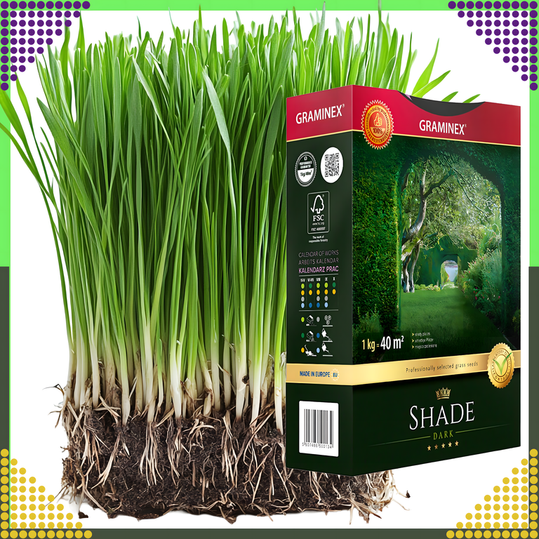 Premium Trawa Nasiona Mieszanka SHADE 1kg 40m Zaciemnione Miejsca do Cienia (9)