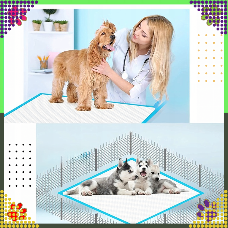 288 x Podkłady Maty Higieniczne dla Psa do Nauki Sikania Xl 40x60cm Grube 50 szt (12)