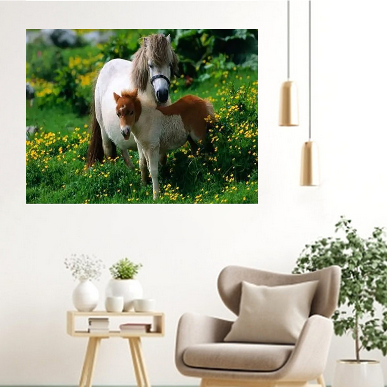 MALOWANIE PO NUMERACH OBRAZ Z RAMĄ  DIY ZESTAW PĘDZLE FARBY PŁÓTNO 40x50 (12)