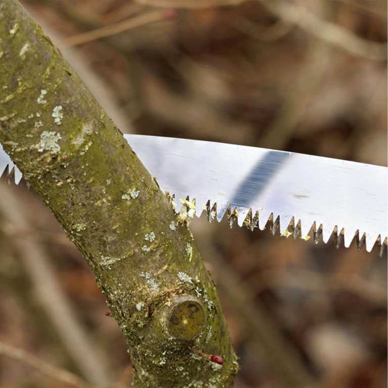 Piła Ręczna do Gałęzi Drewna Drzewa z Hakiem Piłka Ogrodowa Stalowa 40cm  (6)